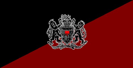fini bandera.jpg